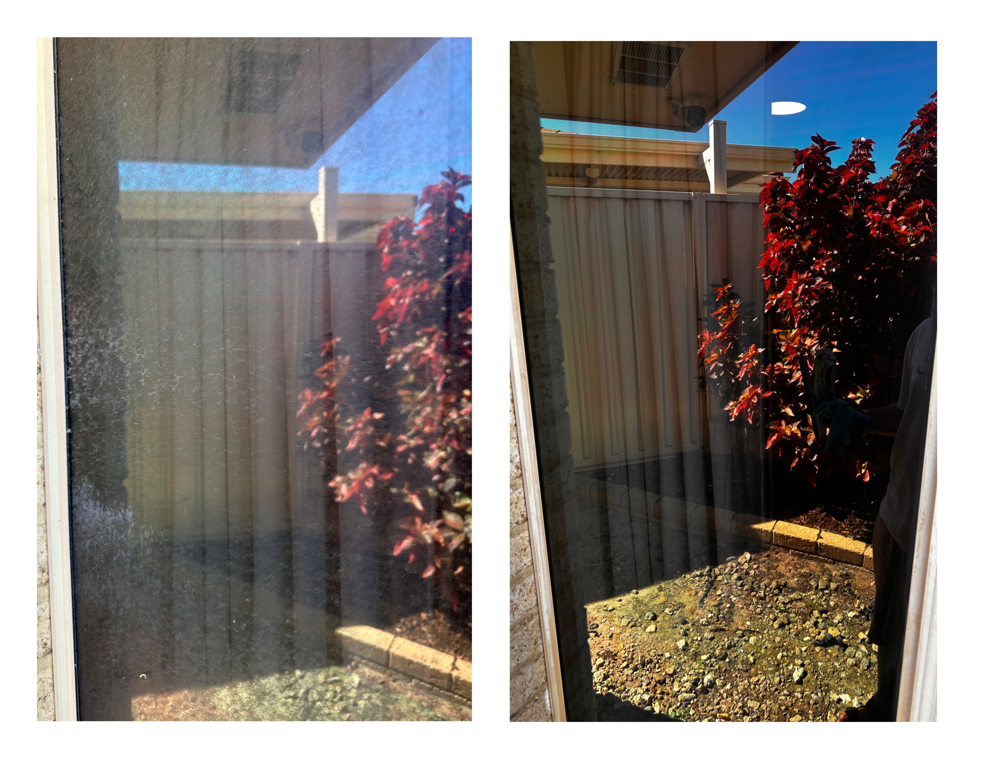 Window Clean